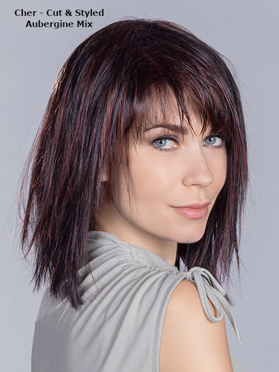 Cher Wig by Ellen Wille | High Power | Heat Friendly Synthetic