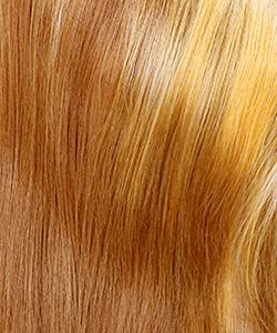 Catherine Wig by Bobbi Boss | OPEN BOX