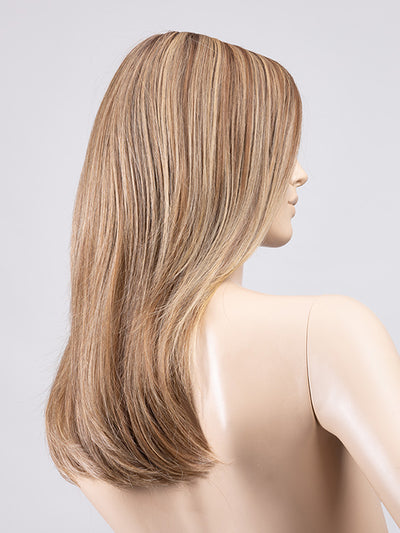 Alasia Bernstein Multi Shaded by Ellen Wille