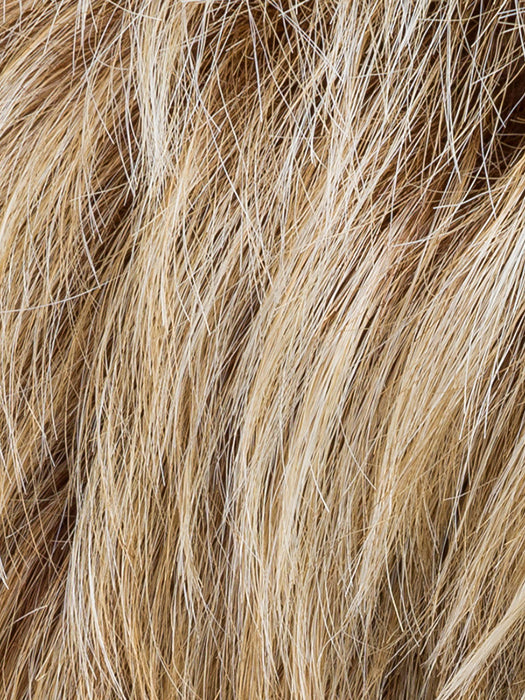 Sandy Blonde Rooted by Ellen Wille