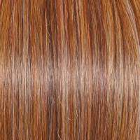 Best In Class Wig by Gabor | Lace Front | Heat Friendly Synthetic
