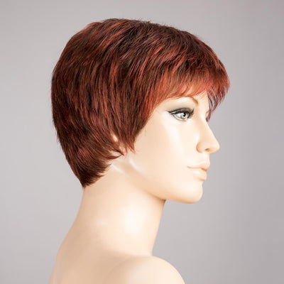 Cool Wig by Ellen Wille | Changes | Lace Front | Mono Crown